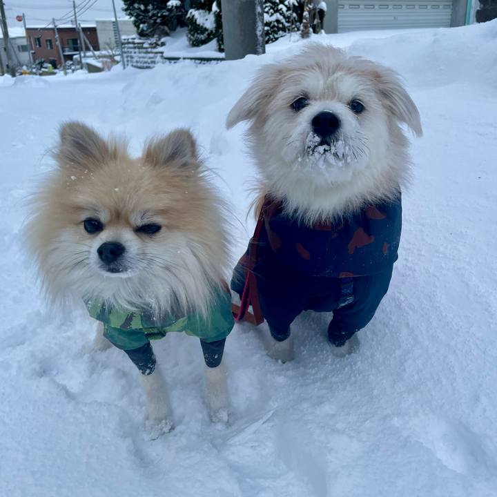 8dcb3e30 d3cd 47f6 8a1c f083c284fd40 1765492321532