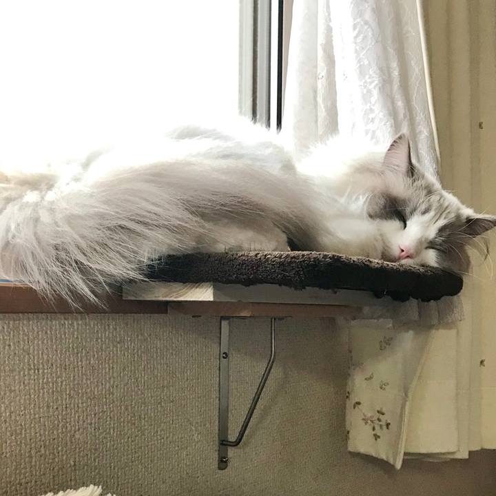 8dcb47d9 6e18 494c bab6 f8c2953435f3 1586728246030