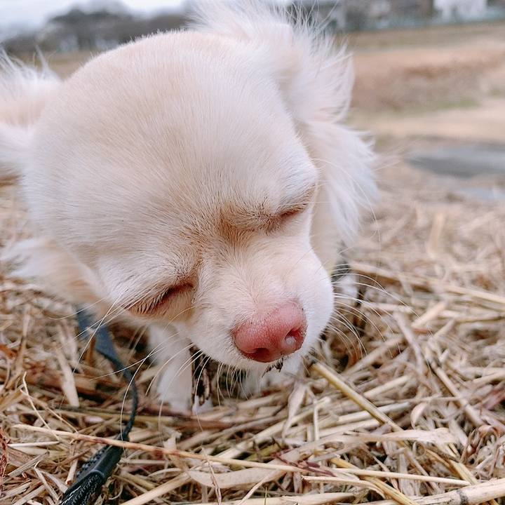 8dcb7ab7 7645 4f6c 8db1 ab0f5b5d4694 1609922564878