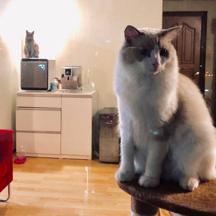 8dcb8fbd caad 4e64 8c6b f765b731b32f 1572753772829