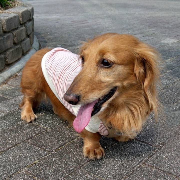 8dcba9c5 b6fb 4d7c 96d7 3271ef0580d2 1694354617364