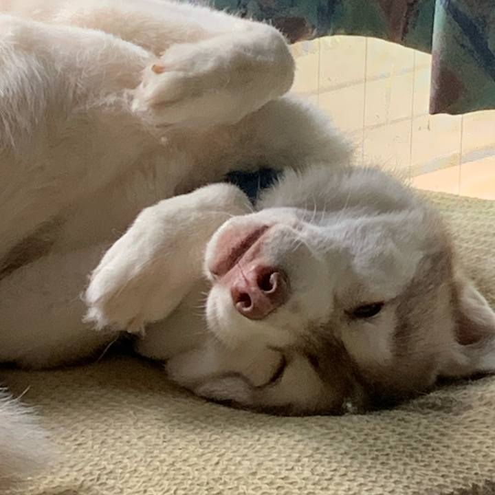 8dcbde53 6412 406e a68b bbf46d3c68d8 1629523511280