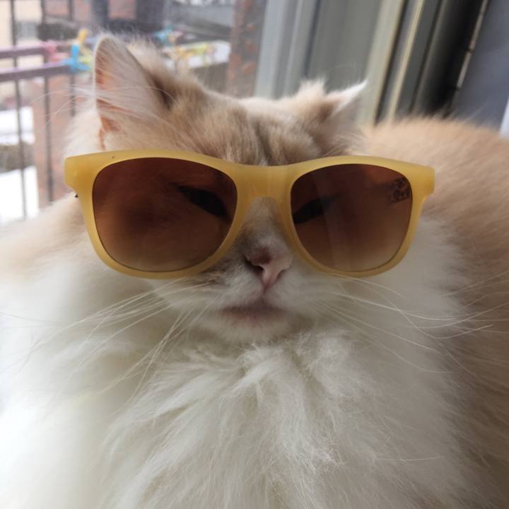 8dcc04d9 e5f0 482d 9658 e45e7cc52382 1554273869271