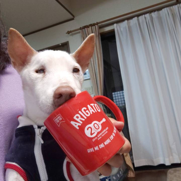 8dcc3f6c c950 4523 8b8a 54ccc9bfbb50 1547248958209