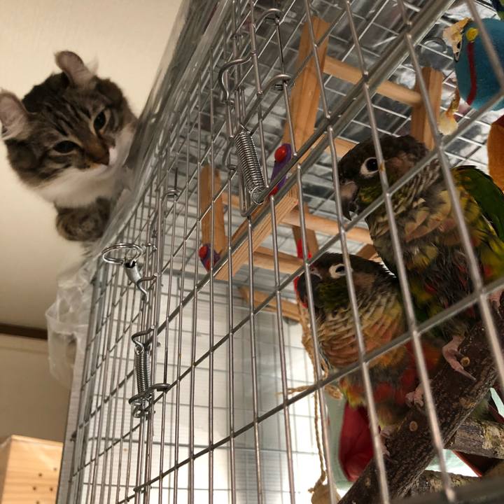 8dcc4743 06ff 45e8 b92f 6393ce9ca7e6 1513740562709