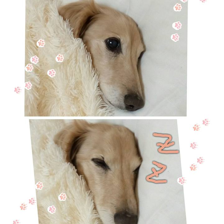 8dcc4c14 10d4 4738 a65f 2ed4b5aaeb8e 1547990556163