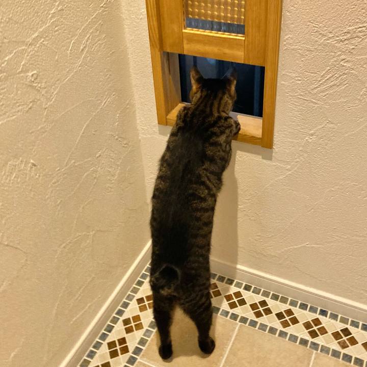 8dccad67 7860 49cc b5b4 1e778158886d 1688200946112