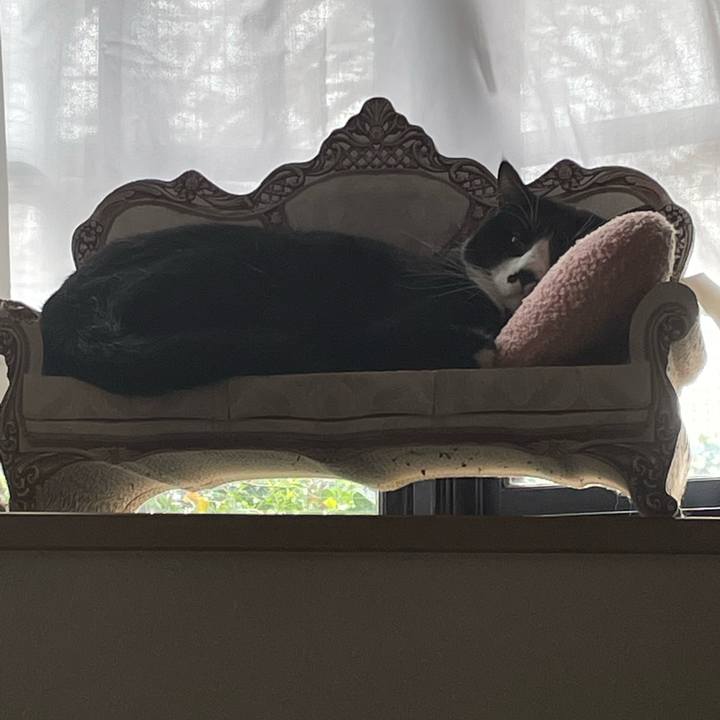 8dccd6e9 0f6e 4967 82b9 4b73c22bf695 1696725784382