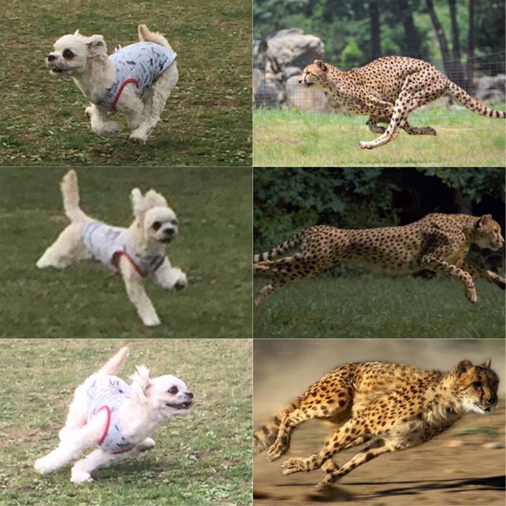 8dcce570 4f52 4eee 822b e0dddfcf0c6a 1521600341415