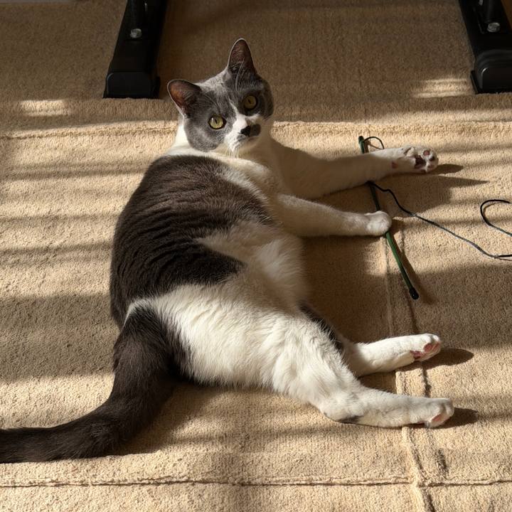 8dcd0921 3994 4a38 a89b b114498c8b0e 1763603208484