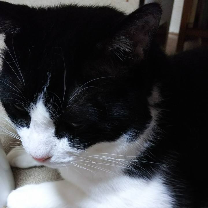 8dcd2495 157d 4540 82be 9b3366cf0f34 1533073397875