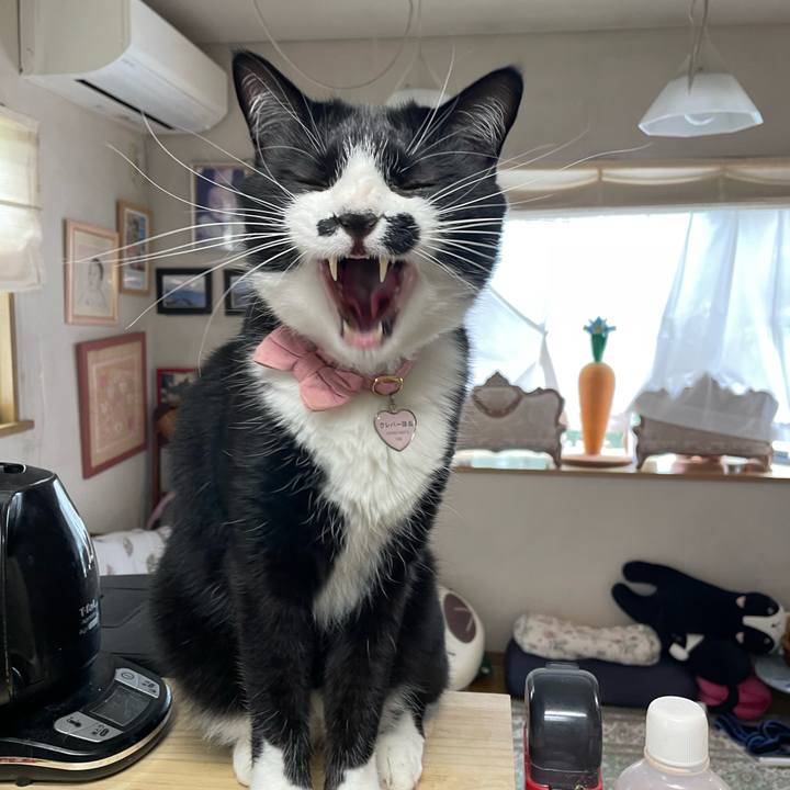 8dcd2ebb c07c 461b 97f7 889d0819cc0a 1749720084300