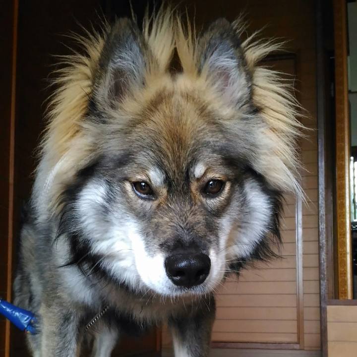 8dcd3991 3916 4881 a849 b2891fd24f07 1524205167637