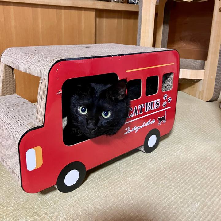 8dcd3ba5 f116 4fe4 9b70 5da84f593f09 1727082193179