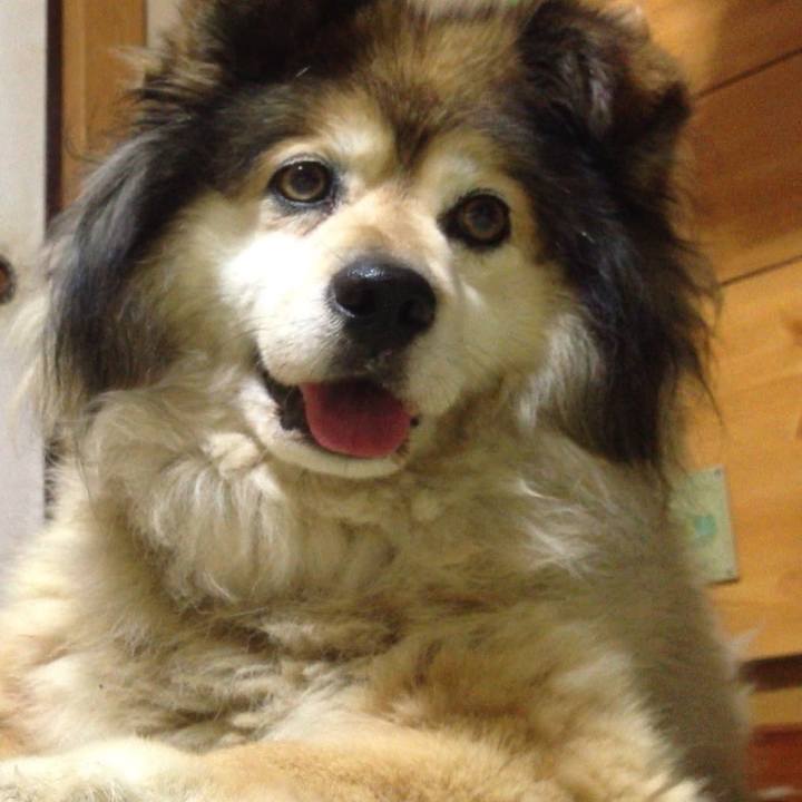 8dcd5ff6 dc16 4804 83fd 55002c73e2a6 1588036052850