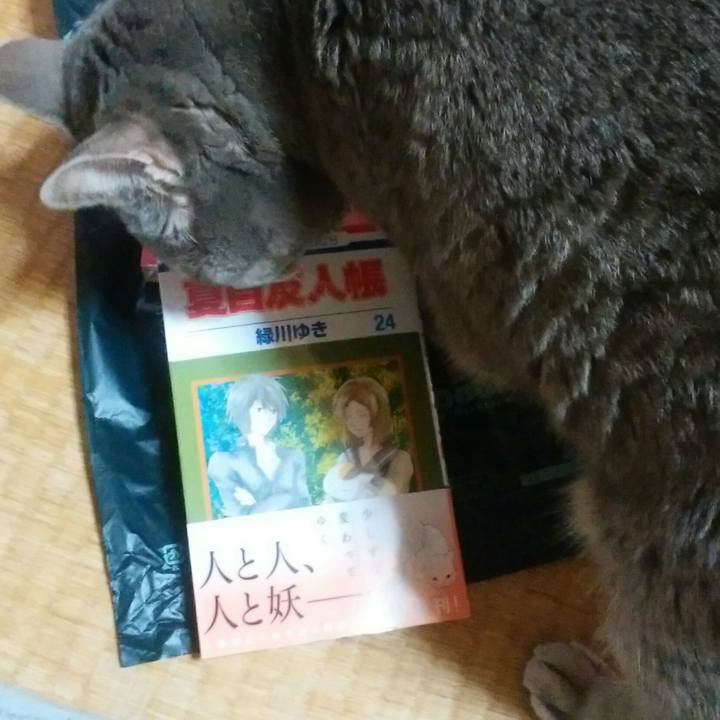 8dcd91f7 dd8f 4b63 97b3 cd10d08e3045 1557498388500