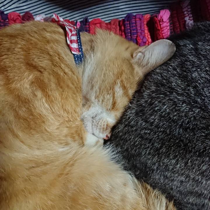 8dcd9bf7 be71 481f 8abd 26a63448bf8e 1558213035975