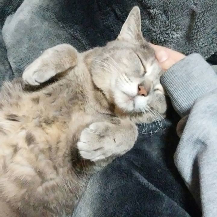 8dcde3f0 52ef 409f b107 a7ff5f347f7b 1518716016366