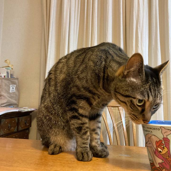 8dcde531 9125 41e6 8724 d6250f8fa546 1649743954993