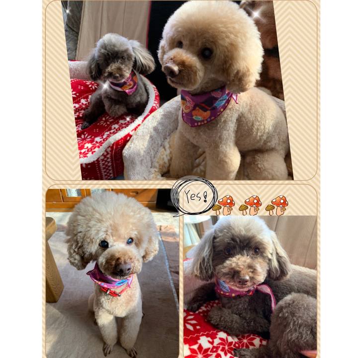 8dce2879 2bc7 474e 9bba b54bdd316697 1572501267576