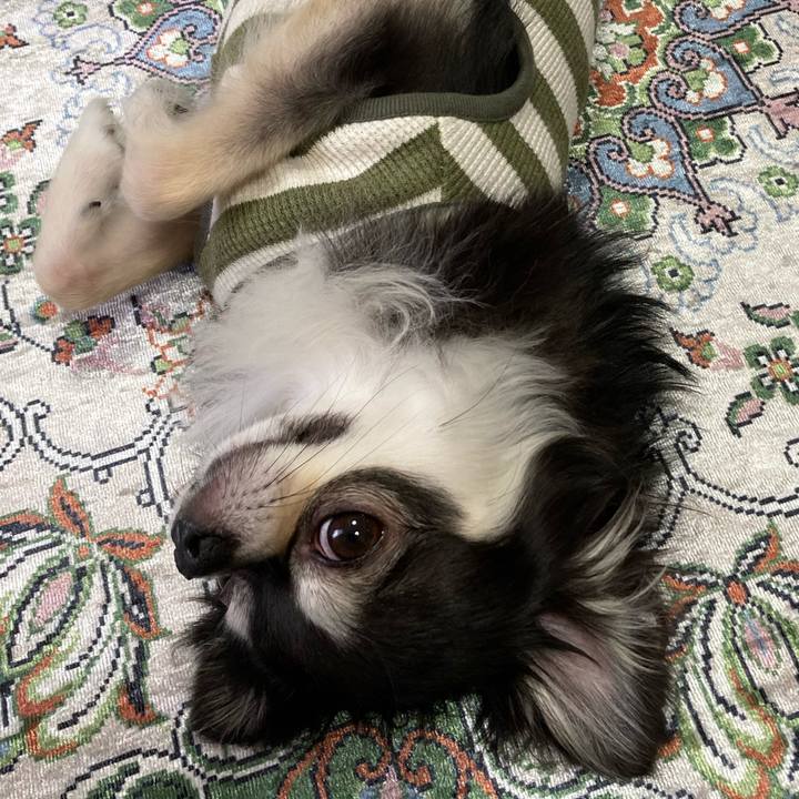 8dce6d1c 7bf3 400f 99aa 6ce904e379c0 1651837957184