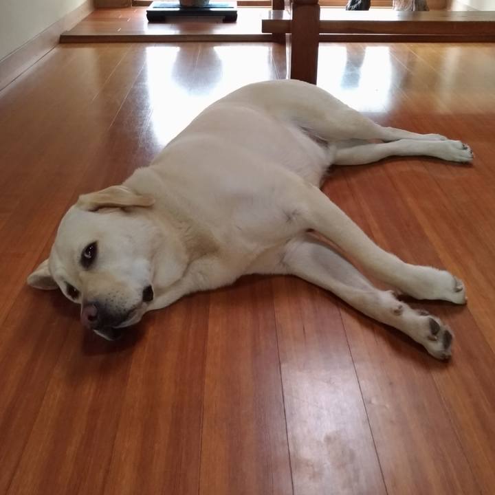 8dce7257 504f 4ce4 ad56 8192a655d5c8 1561266827259