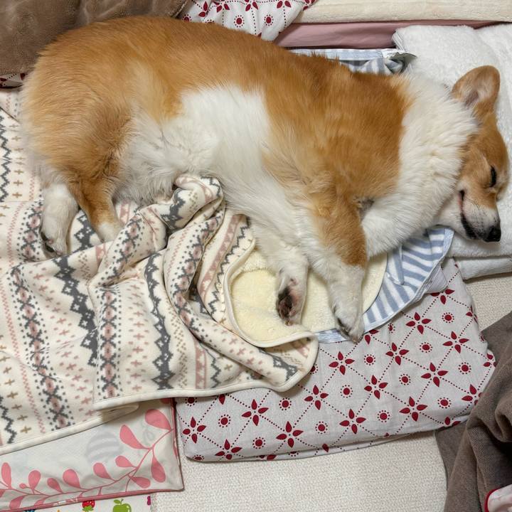 8dce8dfe ebbc 48b9 b55f 718ff4b834af 1772448466238