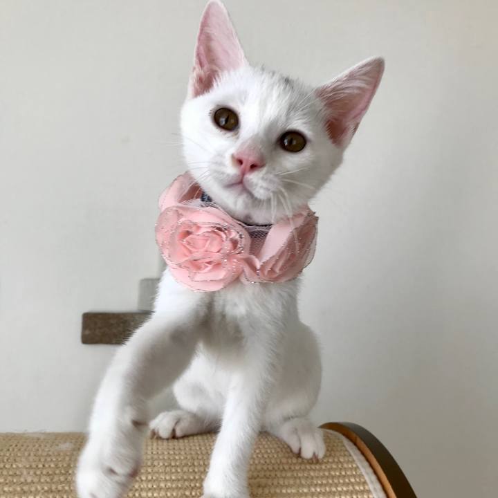 8dcefb5d e846 4fe2 945e 551bd9b07166 1567835154798