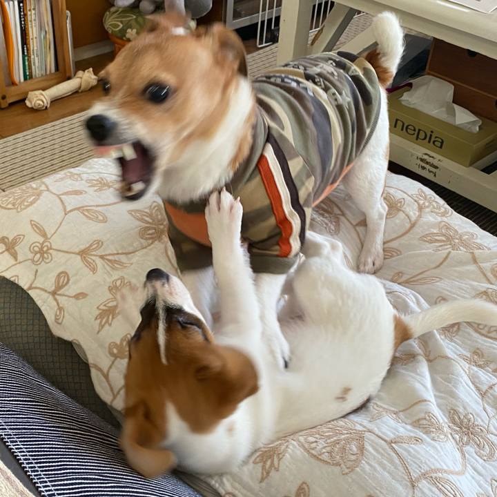 8dcf1f63 74fa 418f a040 0ae2f04d6d50 1697156181633