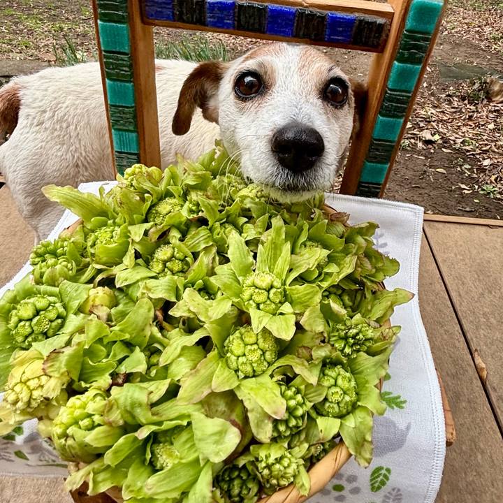 8dcf2ef6 a3aa 4cbd 9727 1d601dc0a4aa 1772106744431