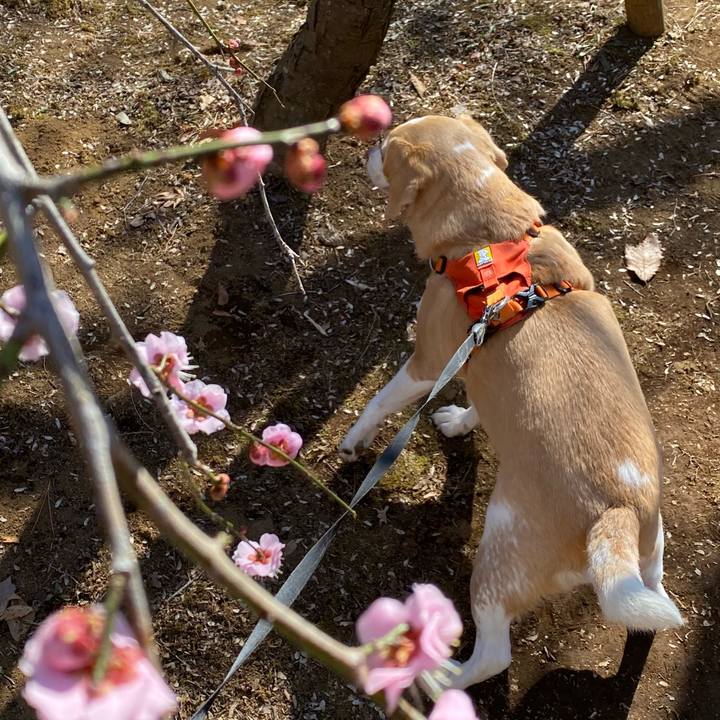 8dcf3d31 e4ff 4301 812b 2e5f34642308 1646028058894