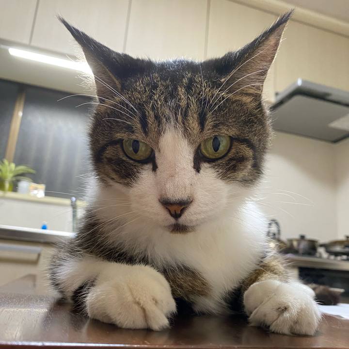 8dcf6ee5 ee53 4d8e b830 def1426dd981 1694005509914