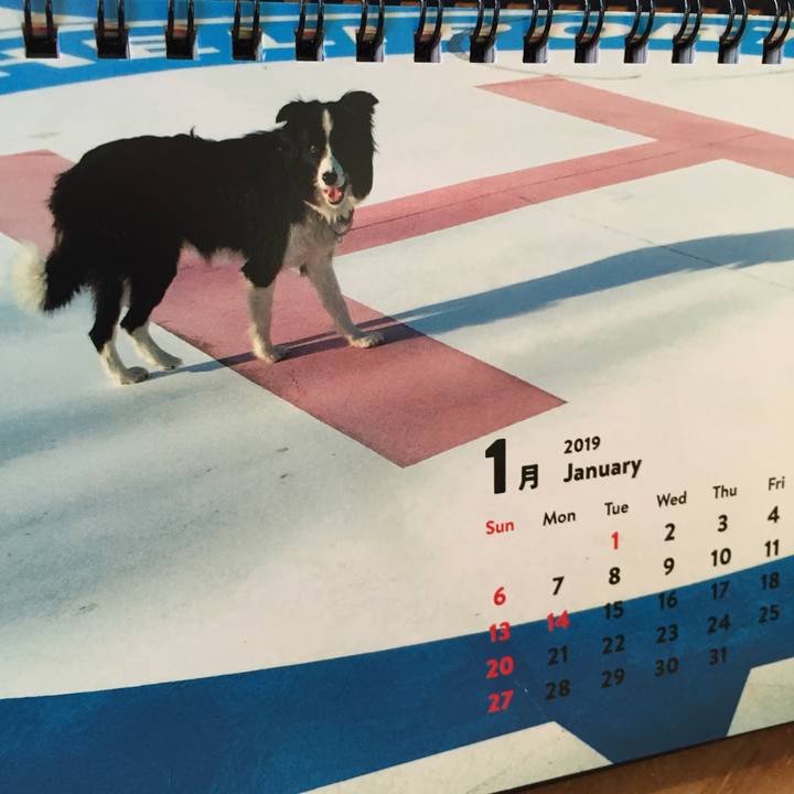 8dcf752a 8b90 4391 8456 2ab07840f97b 1546298616127