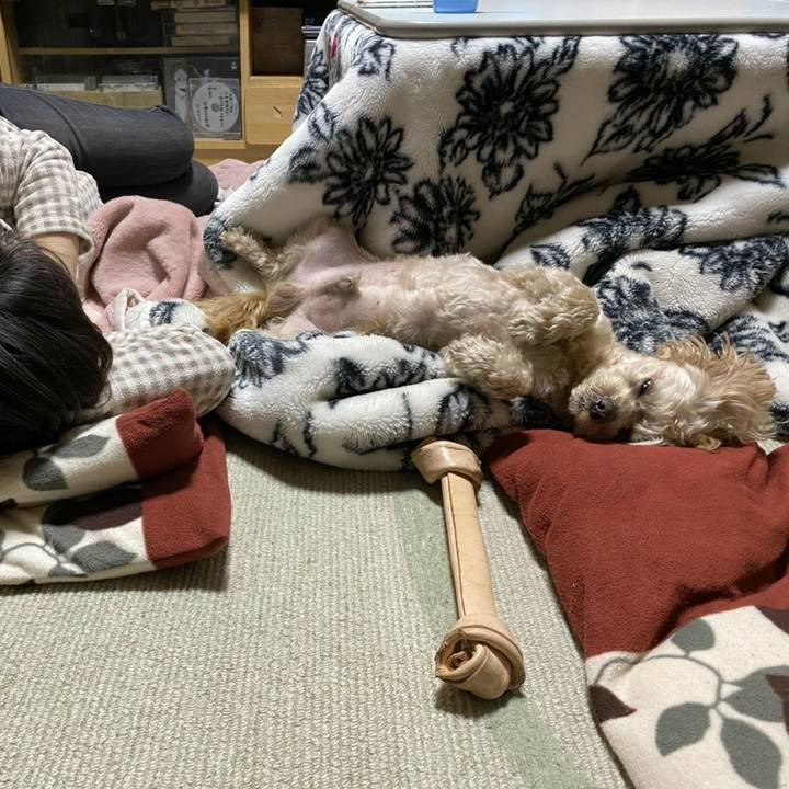 8dcf7625 2ac0 44a3 9040 05a8505aecaf 1585146780009