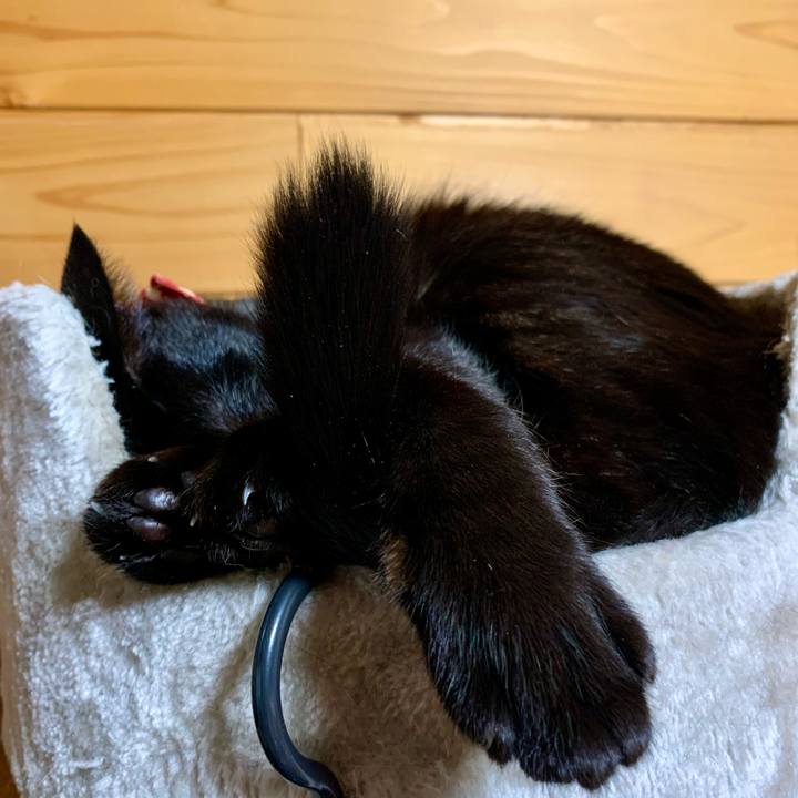 8dcf960e 665b 4e2d 9d34 0bc3e7a49555 1611637738355