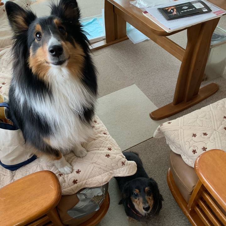 8dcfb59e 09ec 4f2e b0e8 657ccb1622fc 1553671236273