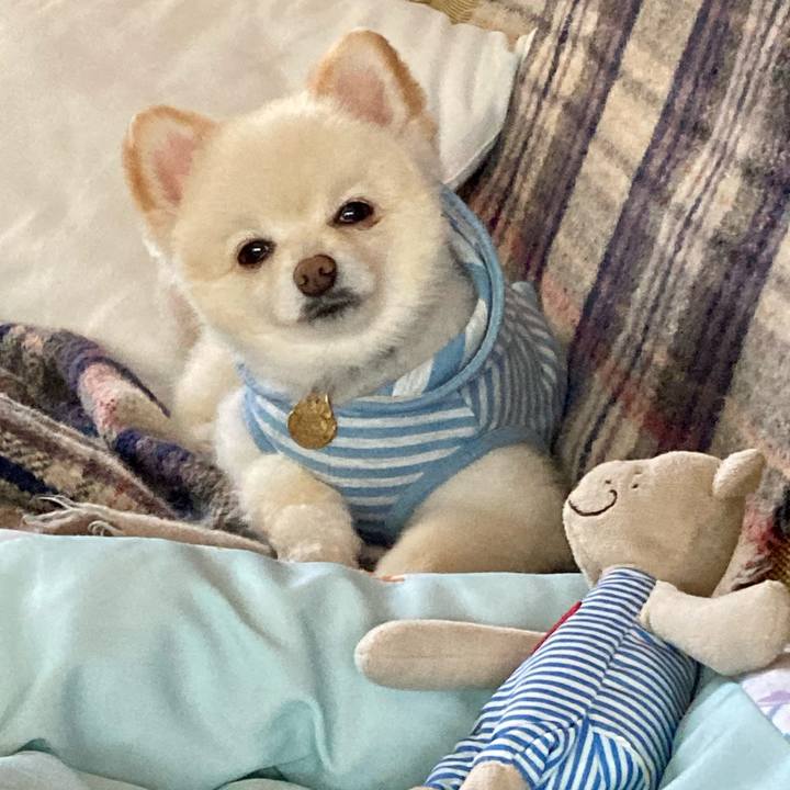 8dcfc520 d284 4a07 94a0 dcf719c6c3a5 1635824305754