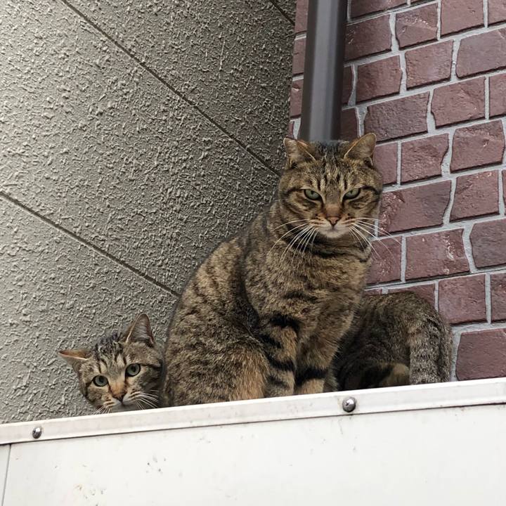 8dcfc62e e70c 4752 8a3a 17f18c799223 1518253720355