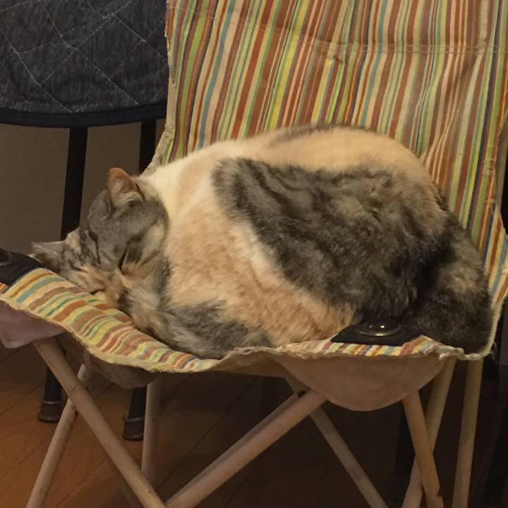 8dcfe006 83e2 425e bf85 79ed32efe622 1560084364569