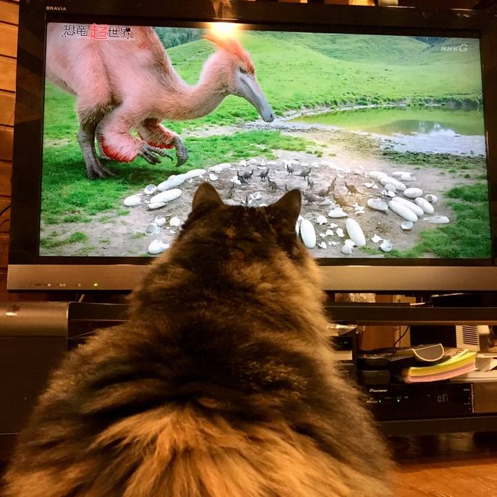 8dd00d29 b855 42ef ab9d 8ac66ccc8e4a 1562502654689