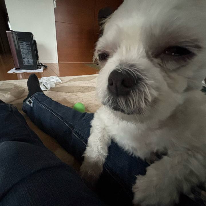 8dd030f7 ecbe 4b38 b578 bc7ef0f73453 1761860939310