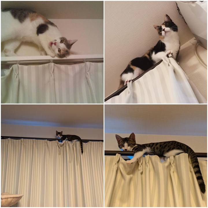 8dd04b35 8486 4a1d a14f 24373e56304f 1725194857947