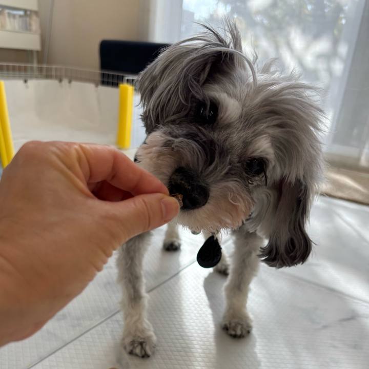 8dd06786 86b4 4b57 b665 c40b4f879fdc 1762494084107