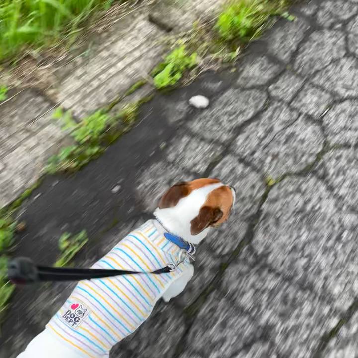 8dd08272 3eb7 4442 9775 cb20ed680563 1625810485063