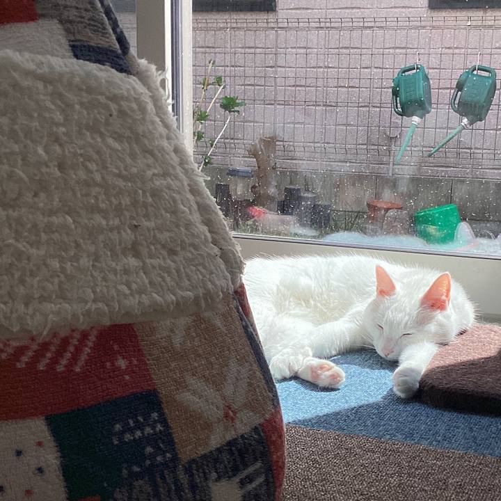 8dd0f414 b2a1 4f0b 8bca 60526d34c47d 1743135347060