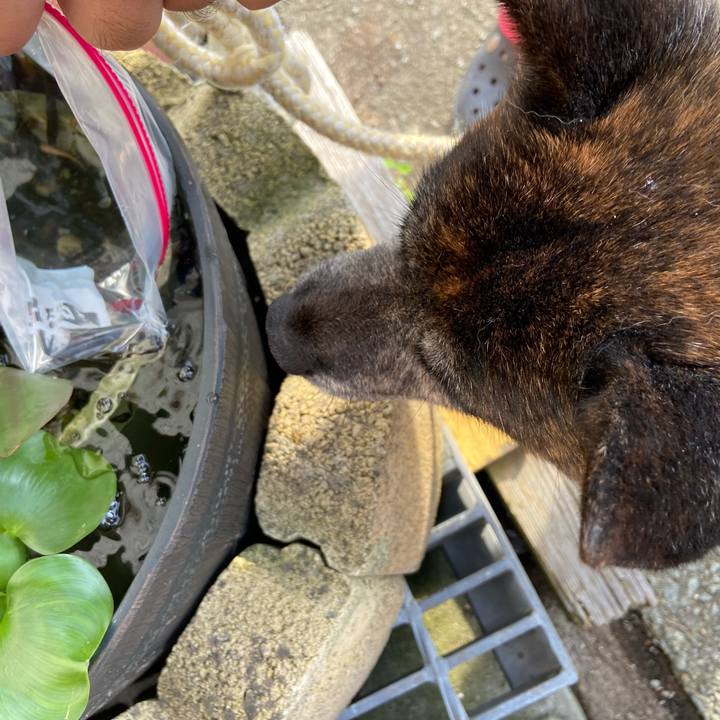 8dd1222f 001a 493e 8609 9ad98472f15b 1626252168899