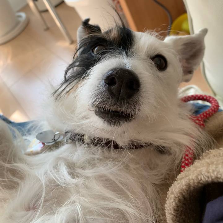 8dd1730c 355f 4bd7 beca d52c8d52920f 1678077606018