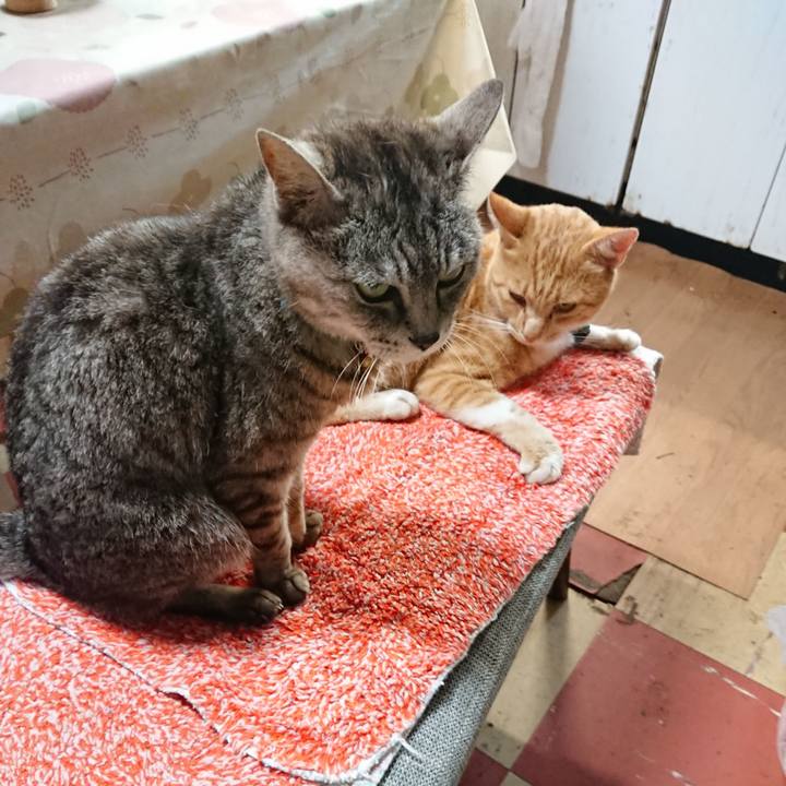 8dd17caf f9b7 45aa b669 9df783ccc097 1563918370913