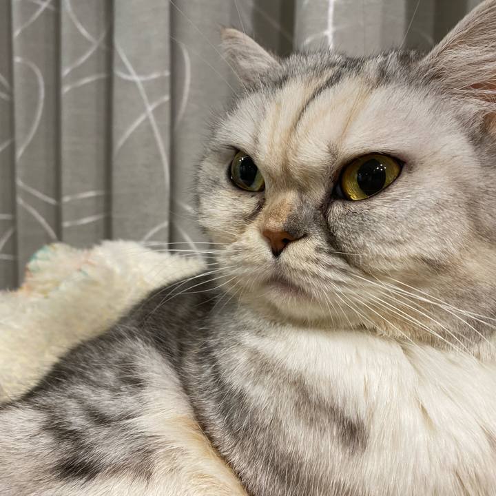 8dd21825 e3fe 43d6 8b5b 2655df1c2aff 1773142683595