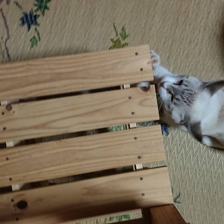 8dd222f4 0f4f 4544 a4dc f0edd19d3ba5 1538228743484